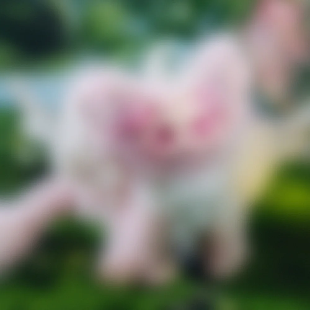 First Time on Poshmark – Secret Blind Box Drop - Picture 3 of 4